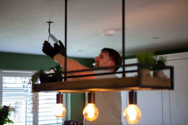 Best Electrical System Inspection  in Lansing, IL